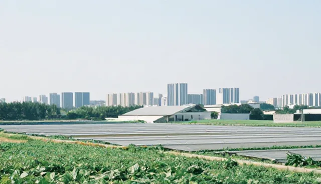免费自助建站,提升小企业网站性能优化