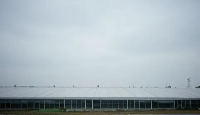 洛阳市网站建设中内容质量对SEO优化的影响