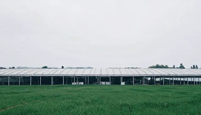 重庆服务器托管的网络安全防护要点