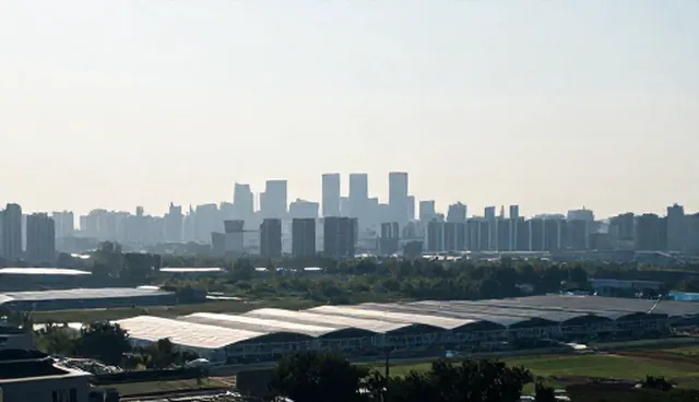 电子商务建设方案:两种做法的比较与实际取舍