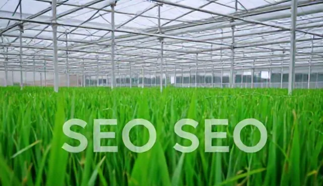 宝安网站建设中页面加载速度影响SEO排名的原因分析