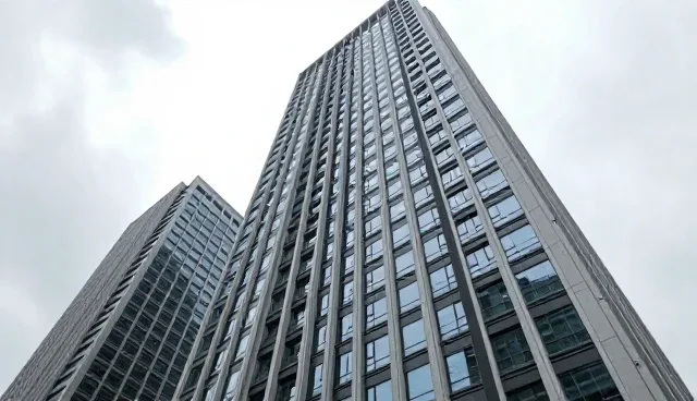 百合seo培训怎么选?石家庄建站如何避免误区?