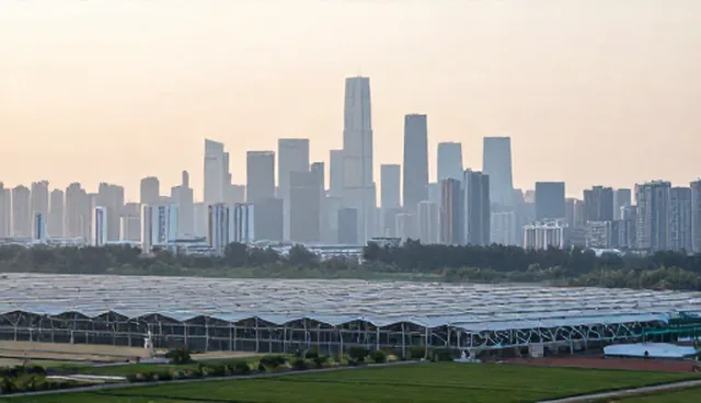 宁波网页设计在系统集成中的选型建议