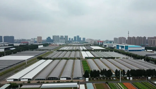 石家庄建站网站建设难不难,需了解适用情况与限制