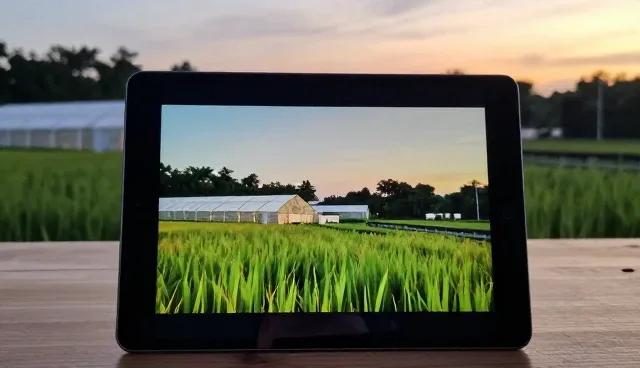 房产网站建设,如何避免常见误区与提升转化率