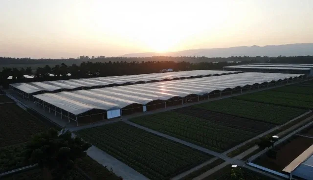 苏州网站公司高效性影响网络推广效果的原因分析